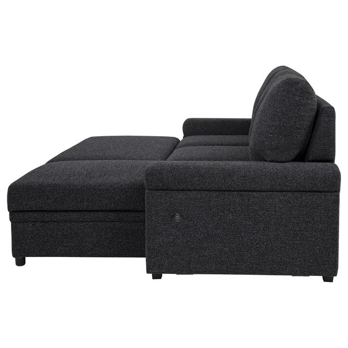 Demko Sleeper Sectional Sofa