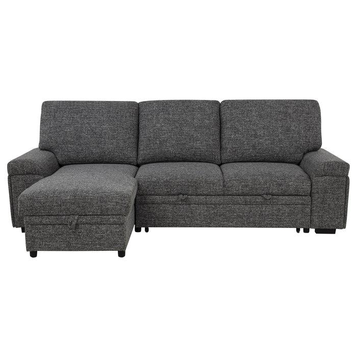 Demko Sleeper Sectional Sofa
