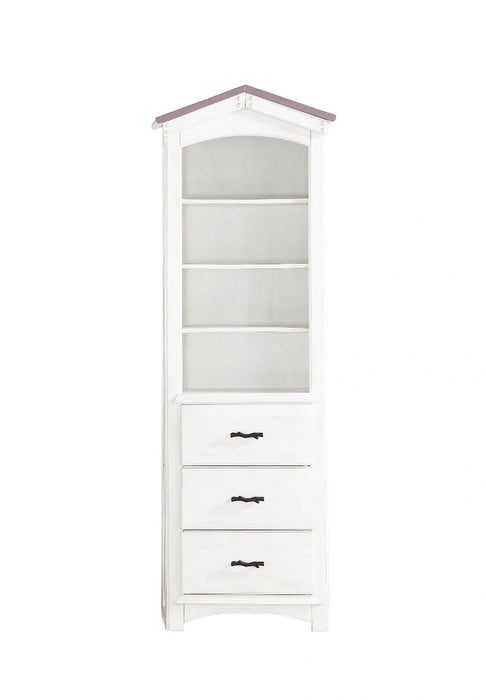 Bookcase Cabinet