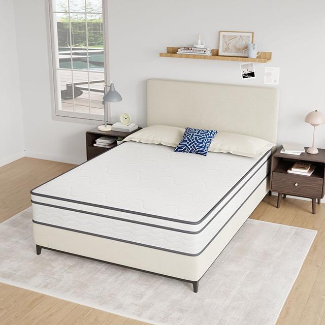Catmint 10" Innerspring Mattress