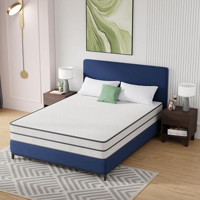 Catmint 10" Innerspring Mattress
