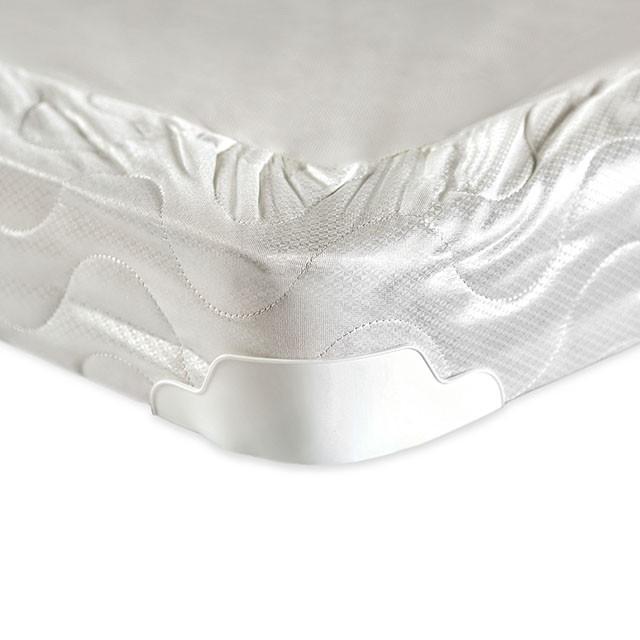 Bird Of Paradise 4" Foundation