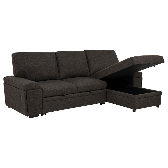 Demko Sleeper Sectional Sofa