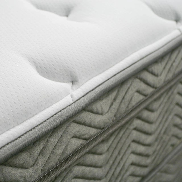 AFTON White/Gray 12" Euro Box Pocket Coil, Cal.King, E king, Full, & Queen