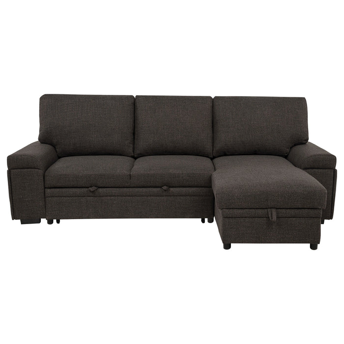 Demko Sleeper Sectional Sofa